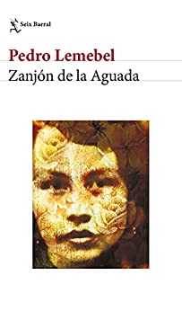 Zanjón de la Aguada (Biblioteca Breve)