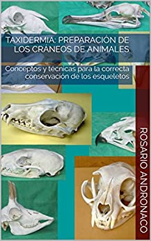 Taxidermia: Preparación de cráneos de animales: Nociones y técnicas Para una correcta conservación de los esqueletos.