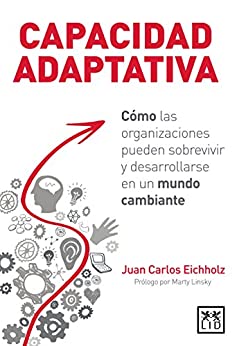 Capacidad adaptativa (Acción Empresarial)