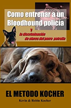 Como entrenar a un Bloodhound policia y la discriminacion de olores del perro patrulla