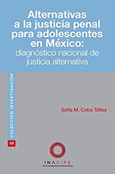 Alternativas a la justicia penal para adolescentes en México (Colección Investigación)