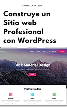 Construye un sitio web profesional con wordpress