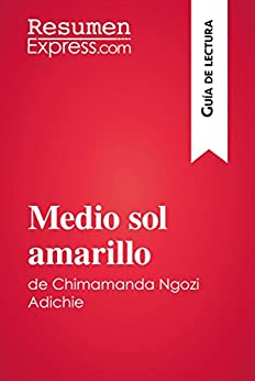 Medio sol amarillo de Chimamanda Ngozi Adichie (Guía de lectura): Resumen y análisis completo