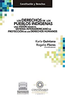 Los derechos de los pueblos indígenas una visión desde el sistema interamericano de protección de los derechos humanos. (Constitución y Derechos)