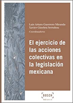 El ejercicio de las acciones colectivas en la legislación mexicana