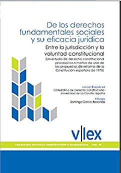 De los derechos fundamentales sociales y su eficacia jurídica. : Entre la jurisdicción y la voluntad constitucional