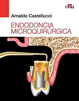 Endodoncia microquirúrgica