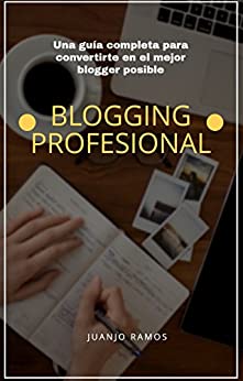Blogging profesional.: La guía definitiva