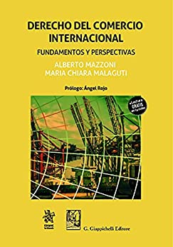 Derecho del Comercio Internacional. Fundamentos y Perspectivas (Manuales de Derecho Administrativo, Financiero e Internacional Público)