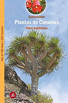 Plantas de Canarias: Flora autóctona (Guías de Naturaleza nº 1)