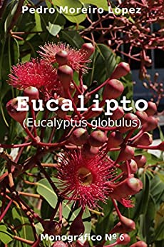 Eucalipto: (Eucalyptus globulus) (Monográficos nº 6)