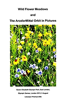 Wild Flower Meadows and the ArcelorMittal Orbit in Pictures (Photo Albums Book 18) (Galician Edition)