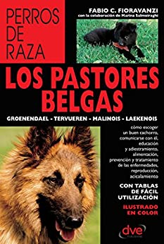 Los pastores belgas: Groenendael – Tervueren – Malinois – Laekenois